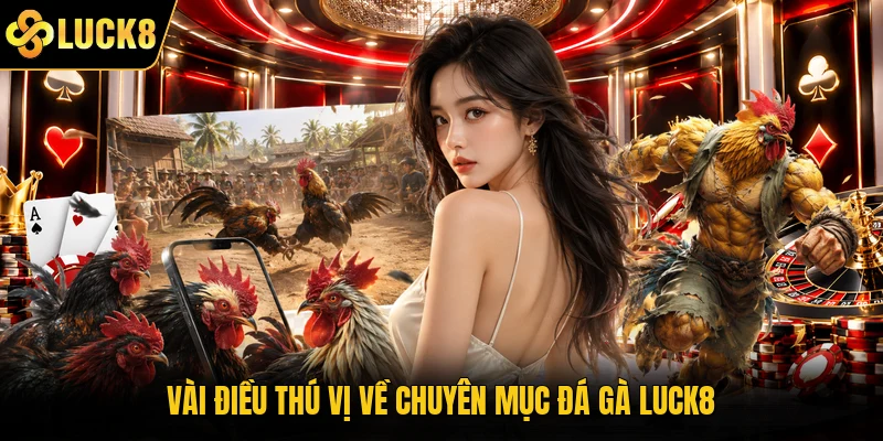 Vài điều thú vị về chuyên mục đá gà Luck8